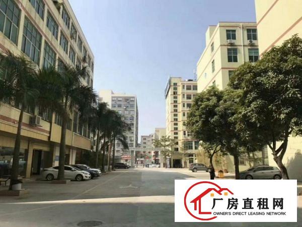 
		公明新出楼上带装修厂房1350不计成本出租
	