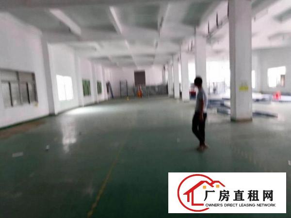 
		公明上村一楼5.5米高带卸货平台1350平出租
	