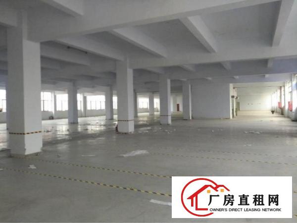 
		公明东坑楼上整层2830平厂房招租
	
