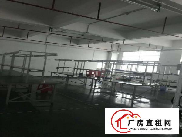 
		公明南光高速出口新出1450平米带精装修厂房租
	