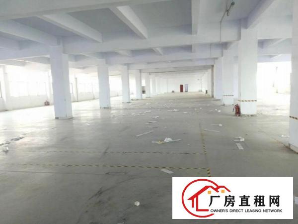 
		公明楼村新出2350平米精装修厂房出租
	