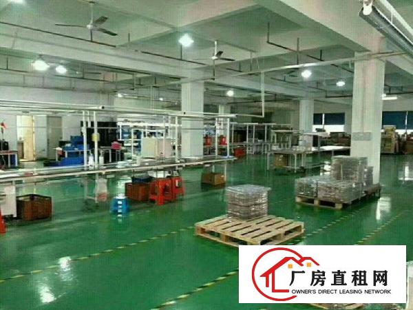 
		公明蒋石根玉路新出楼上680豪华装修厂房
	