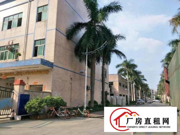 
		公明塘尾（新出独院3层5600，大小可分租）
	