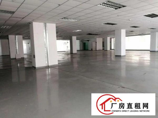 
		公明高新工业园楼上整层精装修2030平出租
	
