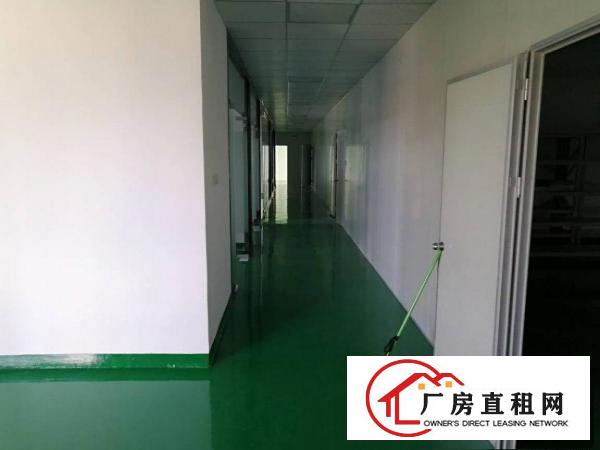 
		公明镇长圳新出原房东厂房1000平方带精装修招租
	
