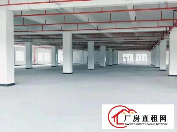 
		公明合水口原房东4500独院出租/大小可分租
	