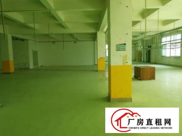 
		原房东独院红本面积4805平米出租公明西田
	
