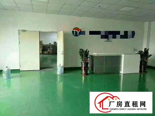 
		公明蒋石松白路楼上800豪华装修招租
	