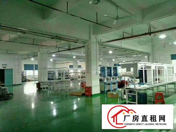
		公明蒋石松白路楼上800豪华装修招租
	