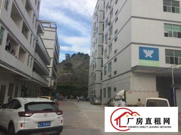 
		公明上村（大型园区楼上一整层1450平带装修）
	