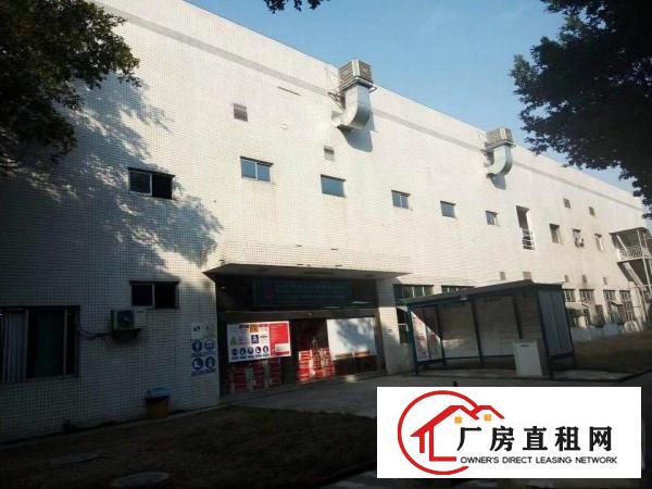 
		公明松柏路边新出带红本花园式独院15000平米
	