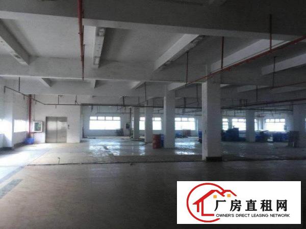 
		公明原房东独院3层厂房4300平米出租！
	