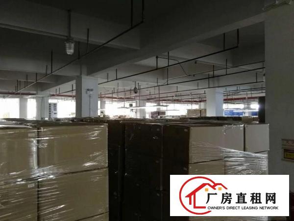 
		光明龙大高速出口（大型园区楼上整层4900平）
	