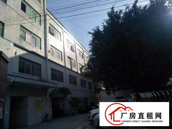 
		大型产业园楼上厂房招租
	