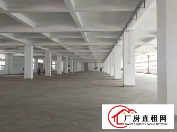 
		公明镇南光高速出口附近新出楼上2600平方厂房招租
	