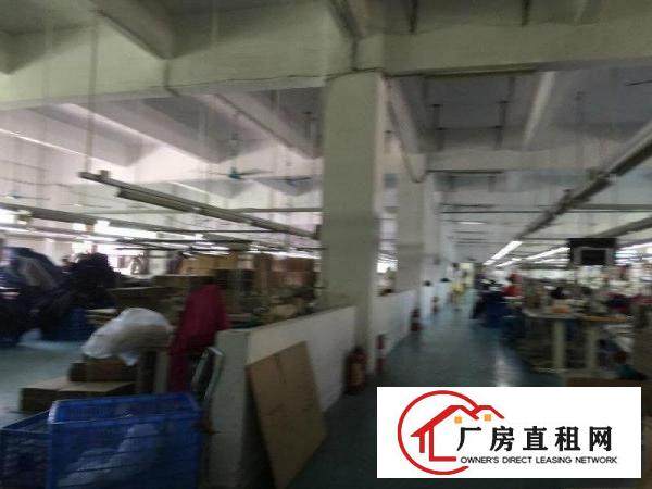 
		公明松柏路旁新出2/3楼1500平带装修厂房出租！
	