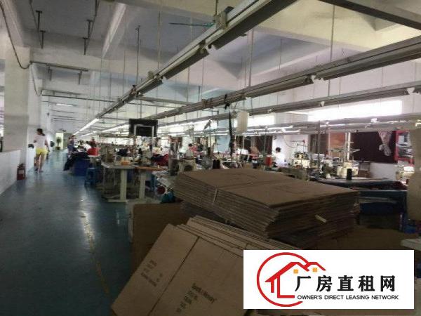 
		公明松柏路旁新出2/3楼1500平带装修厂房出租！
	