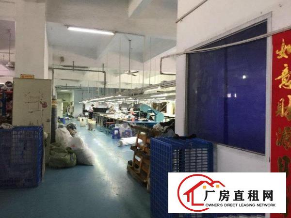 
		公明松柏路旁新出2/3楼1500平带装修厂房出租！
	