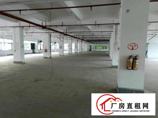 
		长圳新出带卸货平台楼上整层厂房2600平米带精装修
	