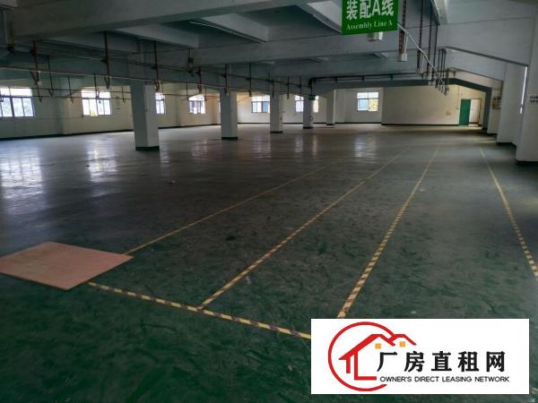 
		李松朗新出楼上1000平厂房
	
