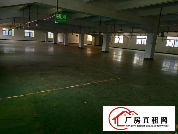
		李松朗新出楼上1000平厂房
	