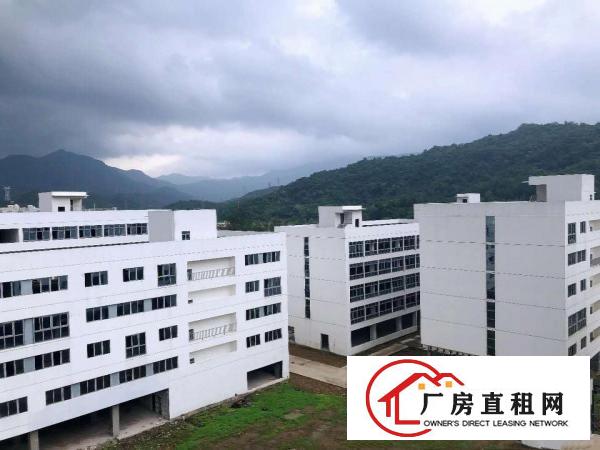 
		大鹏新区全鑫工业园50000平米全面招租！！
	