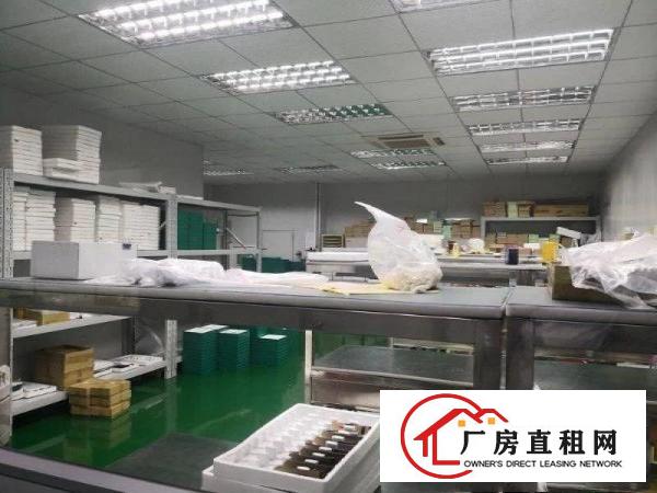 
		大鹏区葵涌高新产业园精装修500平起分租
	