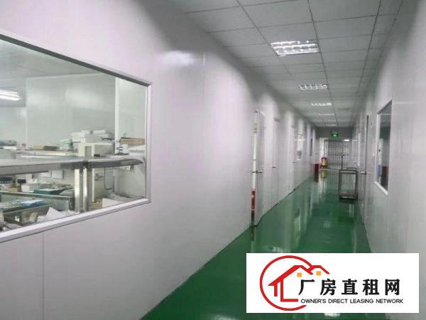 
		大鹏区葵涌高新产业园精装修500平起分租
	