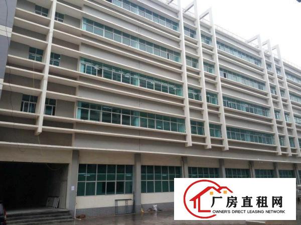 
		葵涌土洋8000平方独院标准厂房业主急租
	