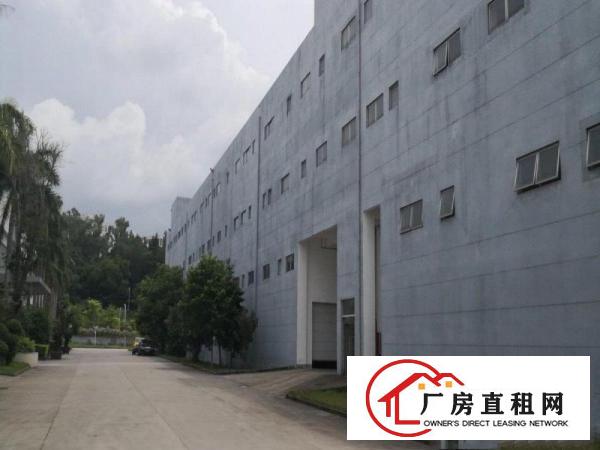 
		出租大鹏新区葵涌
	