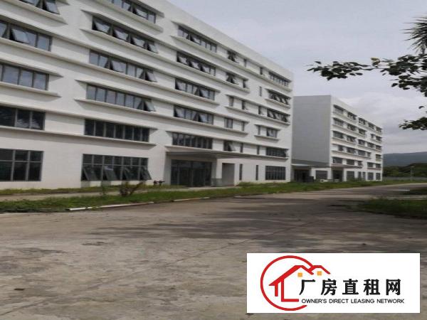 
		出租大鹏新区葵涌
	