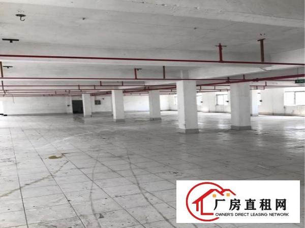 
		红本厂房招租，一楼750平方米，楼上1300平方米
	
