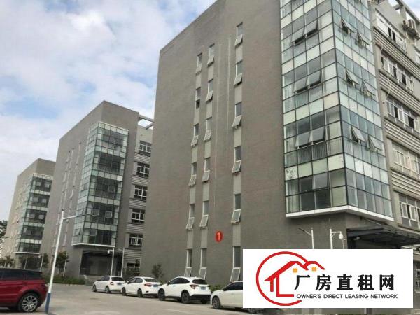 
		龙岗龙西小学旁原房东650平带精装修标准厂房出租
	