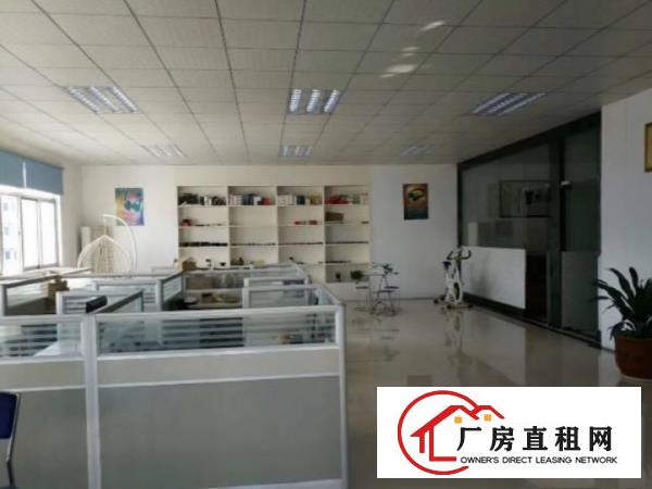 
		龙岗龙西小学旁原房东650平带精装修标准厂房出租
	