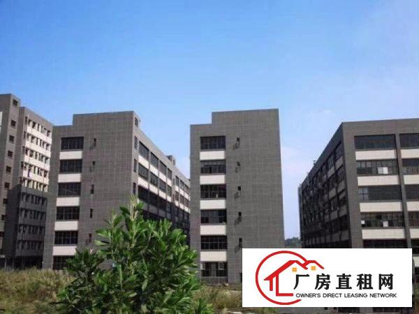 
		龙岗宝龙新空出整层5000平米带装修厂房出租带装修3
	