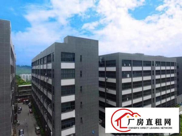 
		龙岗宝龙新空出整层5000平米带装修厂房出租带装修3
	