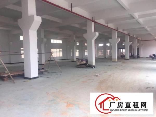 
		龙岗大型工业区一楼1300平米6米高带红本出租
	