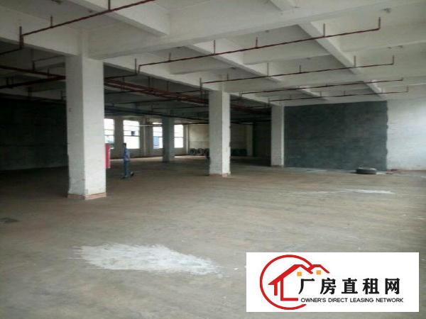 
		龙岗龙东新出一楼厂房1150平米招租
	