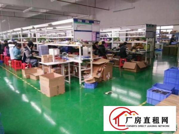 
		龙岗中心城南联南约厂房500平至1000平出租
	
