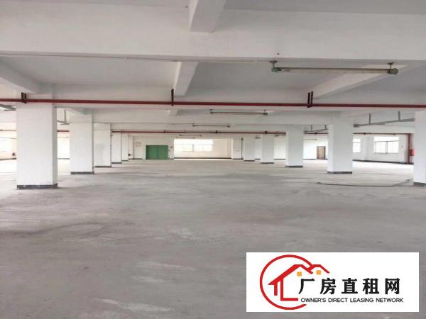 
		(一楼)龙岗同乐1000平方厂房出租！！！可分租
	