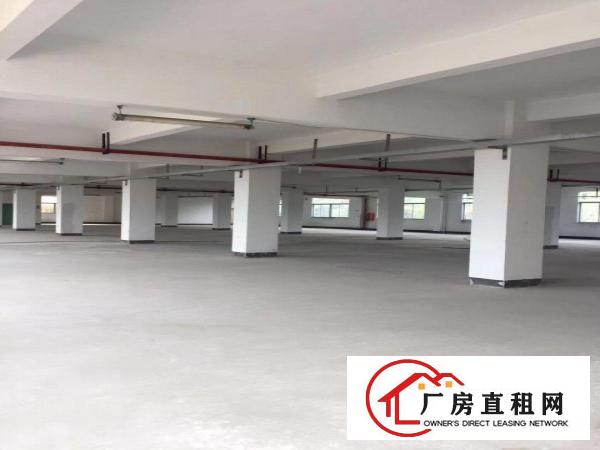 
		(一楼)龙岗同乐1000平方厂房出租！！！可分租
	