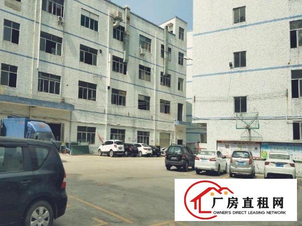 
		龙岗区新生社区新生路边200-800平方可分租厂房出租！
	