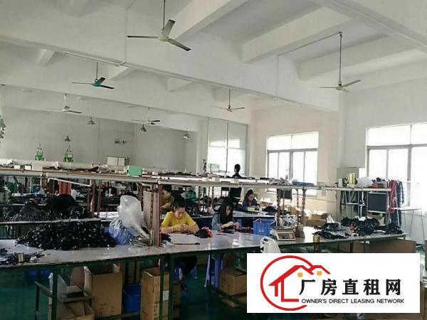 
		原房东原房东宝龙工业区楼上1371平招租
	
