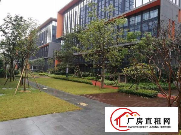 
		龙岗宝龙高端企业部研发办公楼全球招租
	