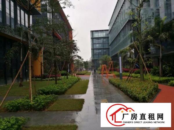 
		龙岗宝龙高端企业部研发办公楼全球招租
	