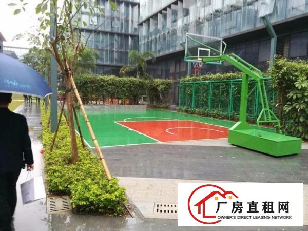 
		龙岗宝龙高端企业部研发办公楼全球招租
	