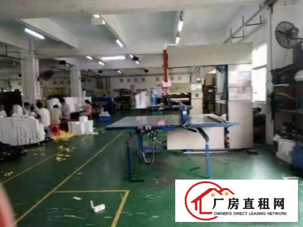 
		龙岗南联新出楼上1100平米带办公室厂房出租
	
