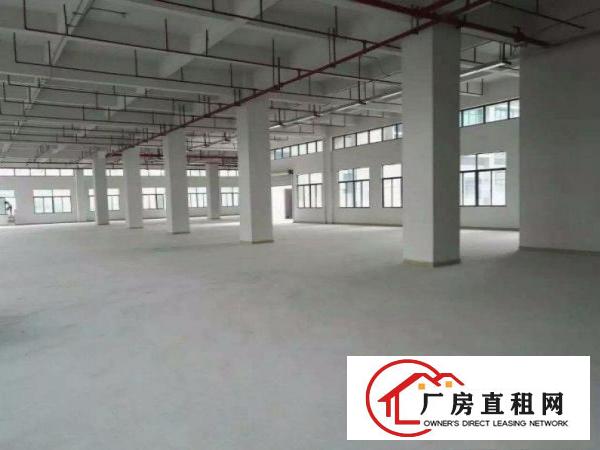 
		龙岗原房东3吨电梯厂房出租1500平3000平实际面积
	
