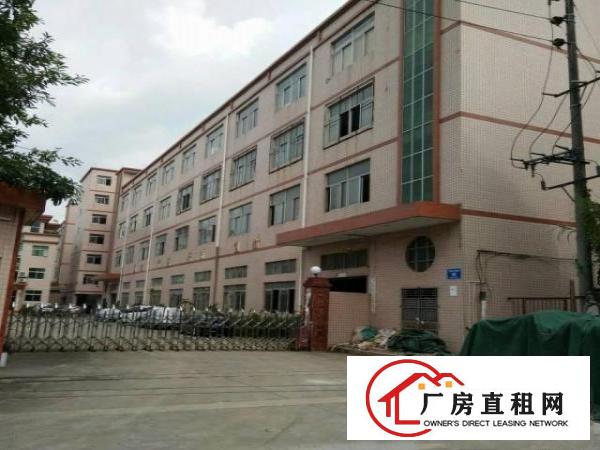 
		同乐浪背原房东无公摊楼上整层1200平15元出租
	