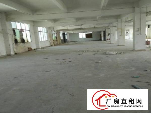 
		同乐浪背原房东无公摊楼上整层1200平15元出租
	